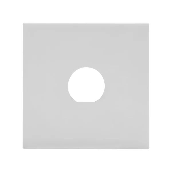 SYSWALL45 Frontplatte, 1 x BNC 1/2"