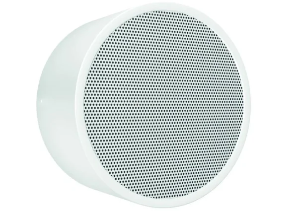 DAR-1000-10 Wand-und Deckenlautsprecher Metall mit hohem SPL