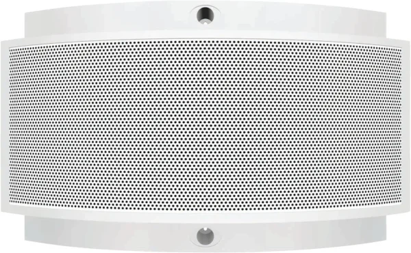 WDW-330-CX10 2-Wege-System Wandlautsprecher