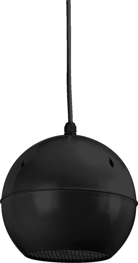 EDL-412/SW ELA-Lautsprecher