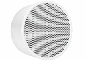 DAR-1000 Wand-und Deckenlautsprecher Metall mit hohem SPL