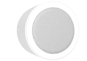 DAR-87-10 Wand- und Deckenlautsprecher Aluminium