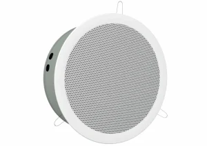 WDR-245-A/B-F-EN-10 A/B Deckeneinbau-Lautsprecher Metall