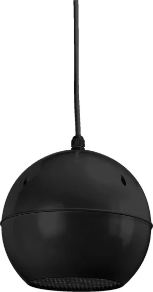 EDL-412/SW ELA-Lautsprecher