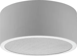 ESP-1000AB ELA-Wand-/Deckenlautsprecher