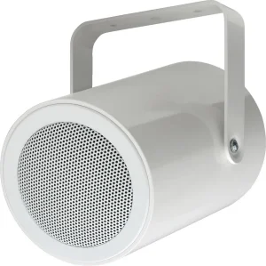 RL-1EN Wandlautsprecher