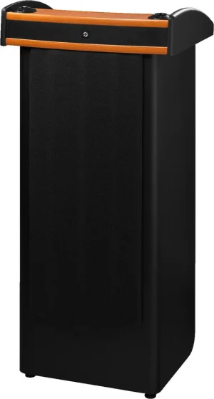 SPEECH-204 Verstaerkersystem