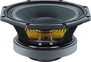 FTX0820/8 PA-Koaxial Lautsprecher